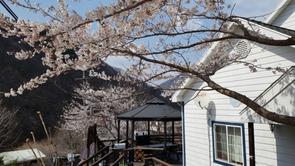 참샘산방 이미지