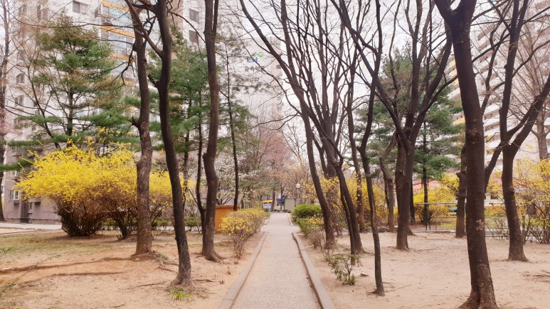 모닝글로리만수 이미지
