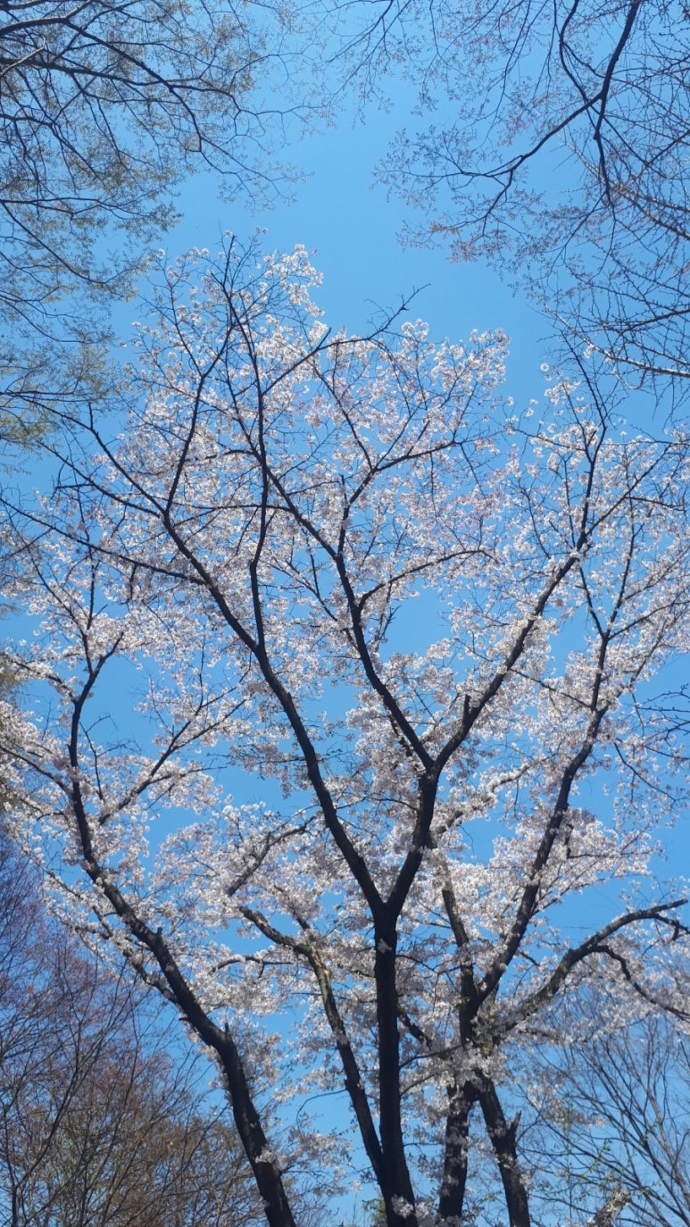 달봉이커피 이미지