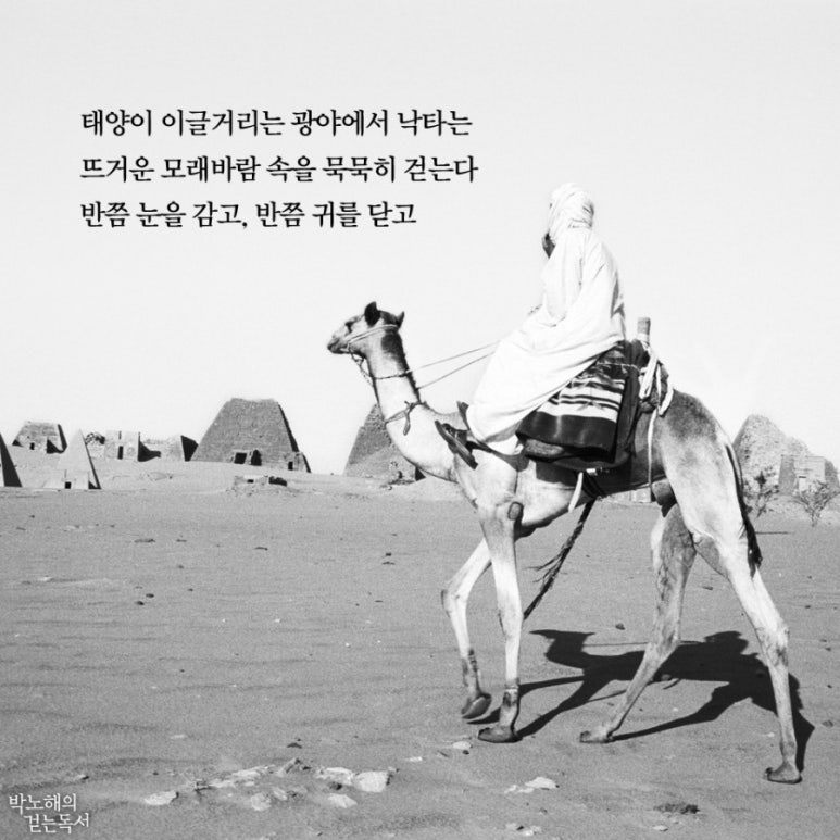 국이야기 이미지