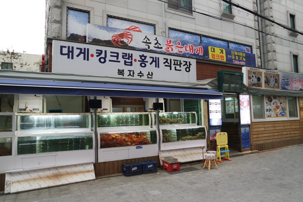 속초붉은대게 이미지