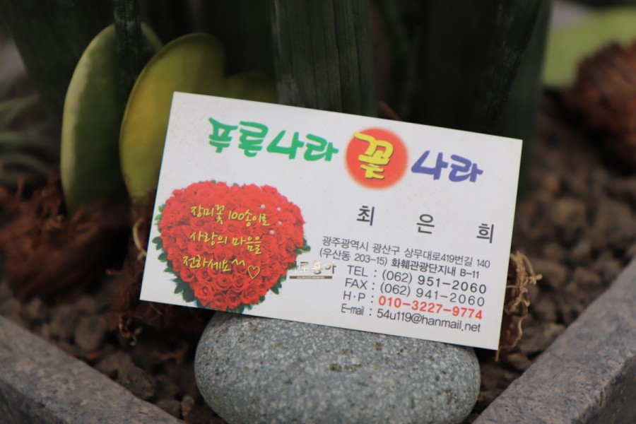 푸른나라꽃나라 이미지