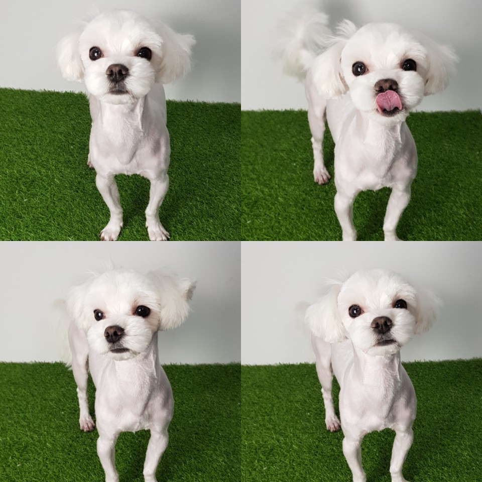 파리바게뜨수원탑동 이미지