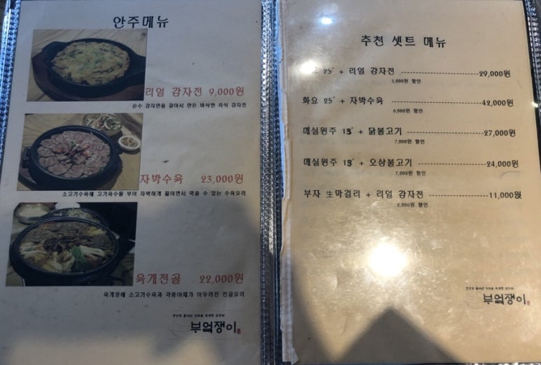 솥쟁이 이미지