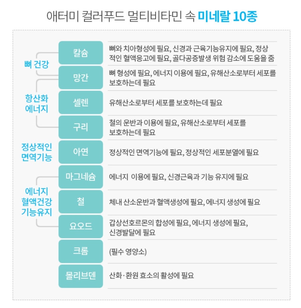 멀티푸드 이미지