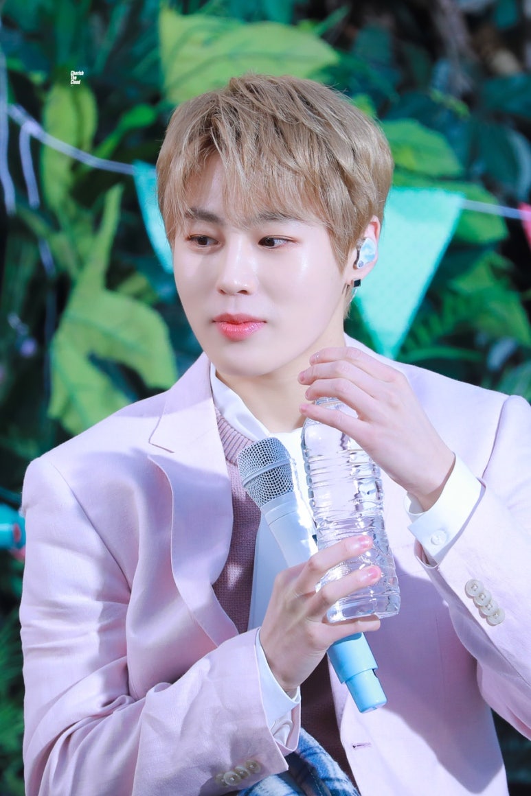 뮤직라이브 이미지