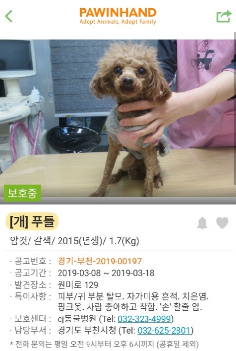 와와 이미지