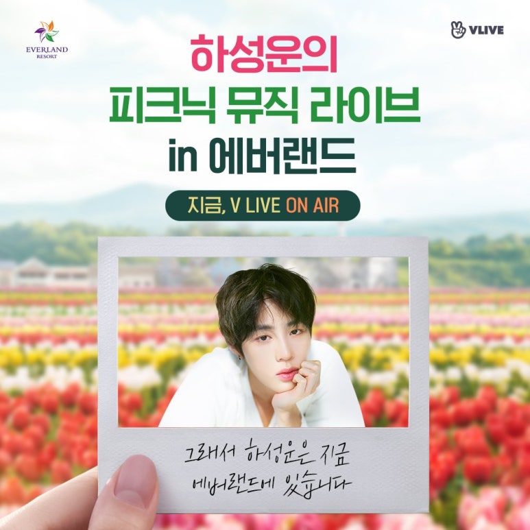 뮤직라이브 이미지