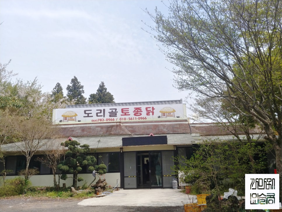 도리골토종닭 이미지