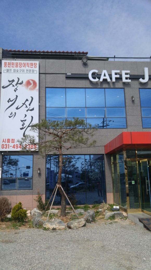신화장어 이미지