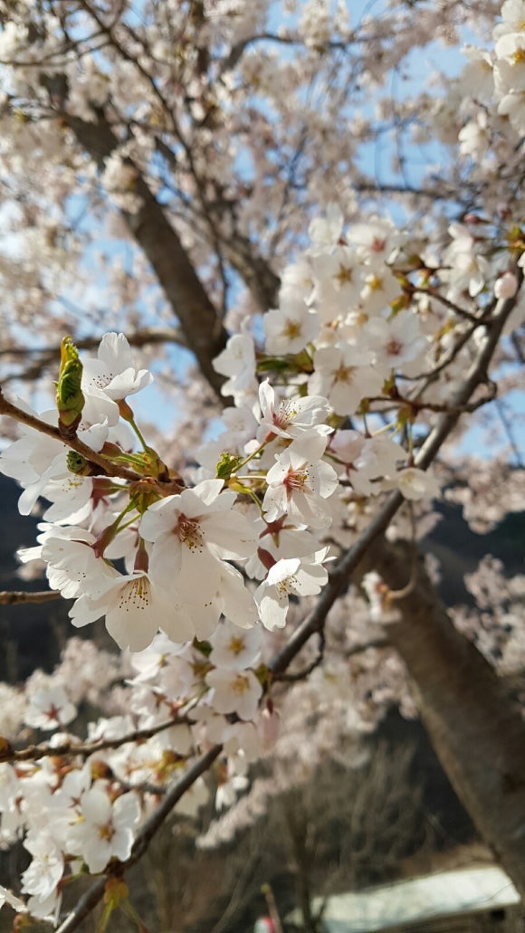 참샘산방 이미지