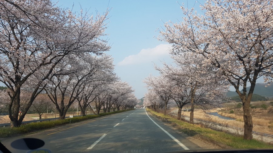 현풍상회 이미지