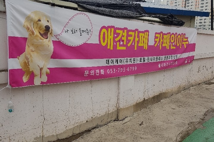 카페이누 이미지