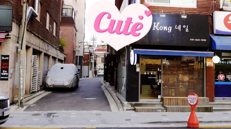 네일콩이 이미지