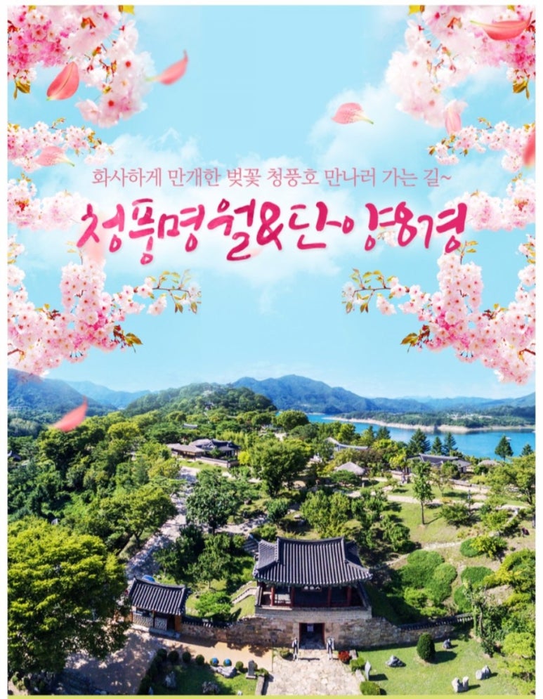 힐링투어라인 이미지