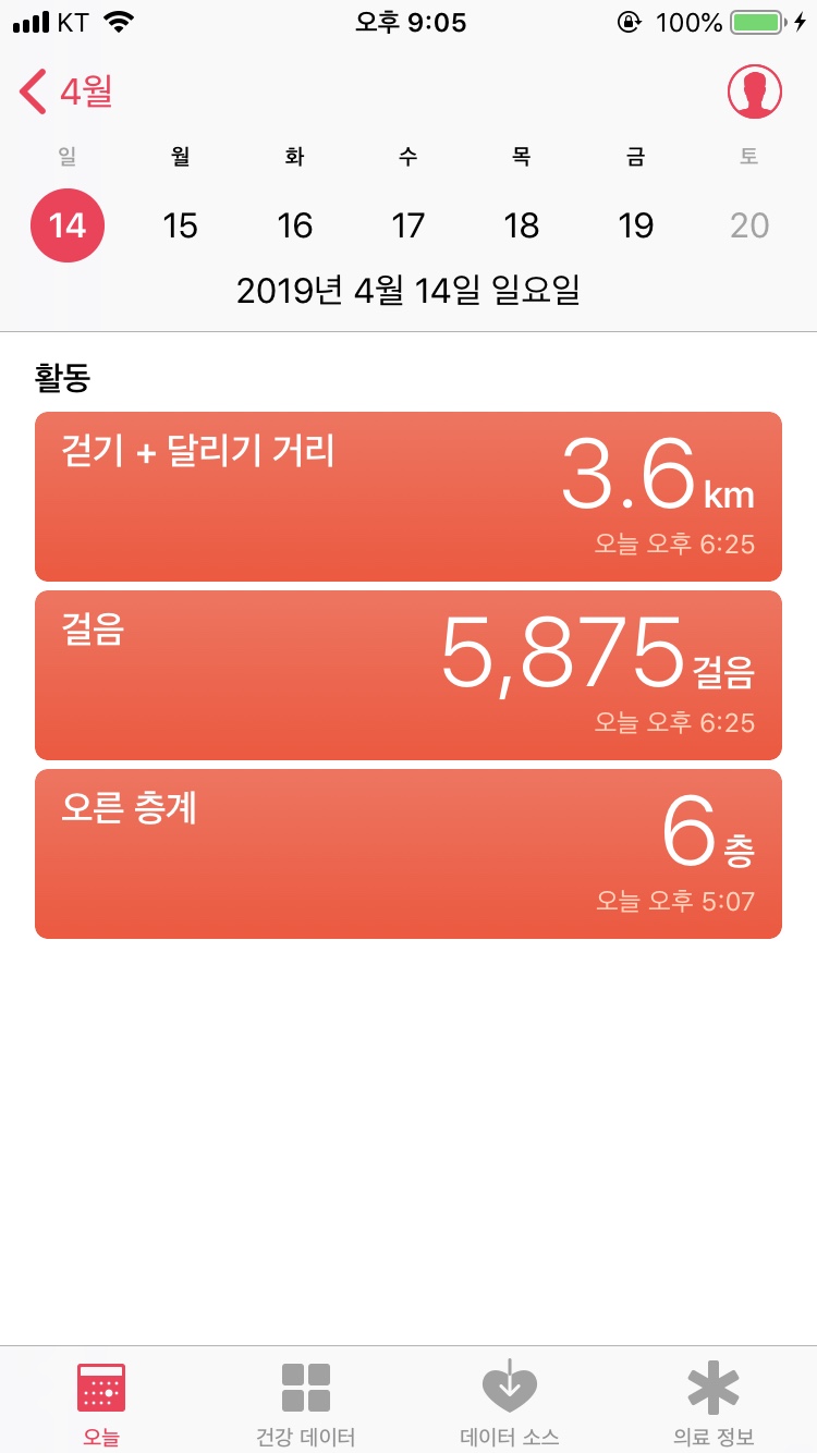 비데이 이미지