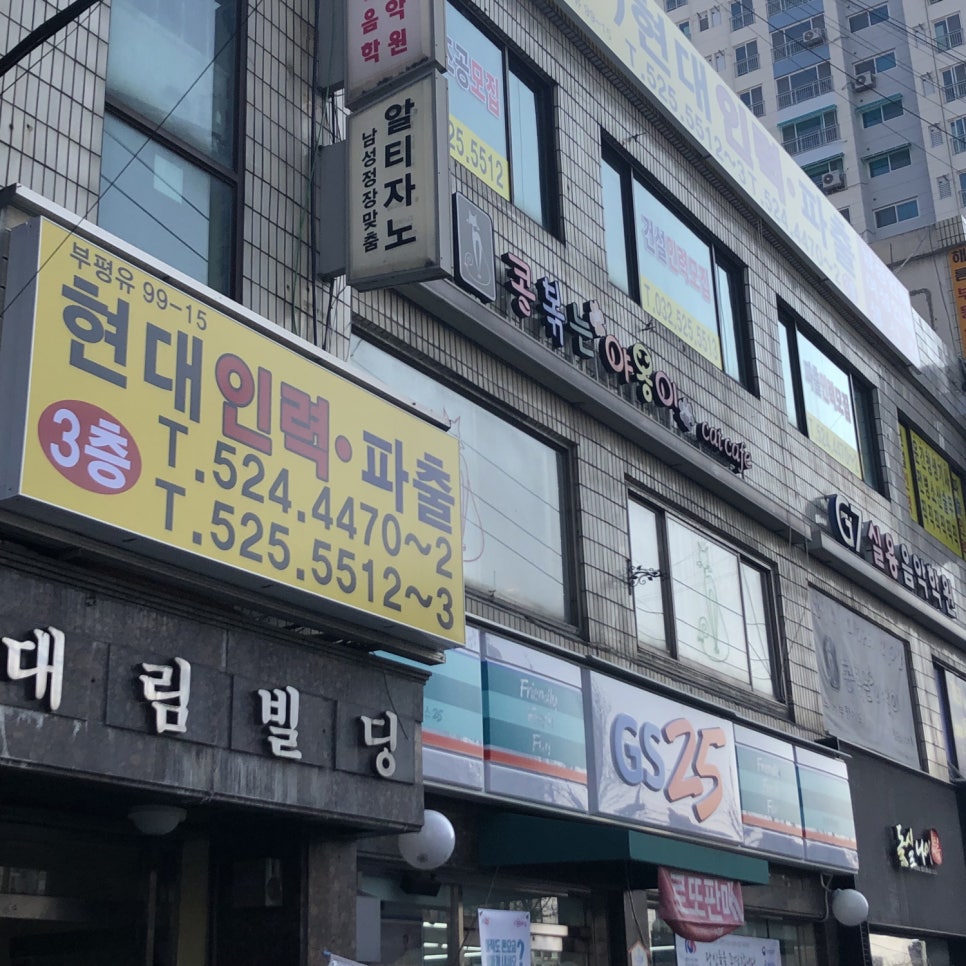 콩볶는야옹이 이미지