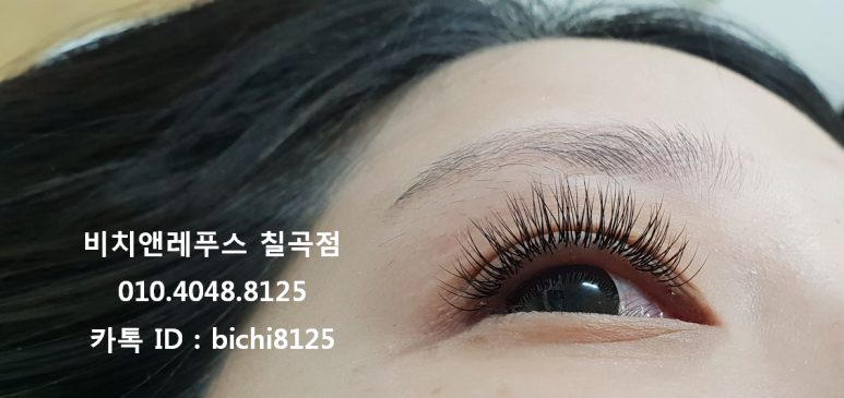 비치앤레푸스 이미지