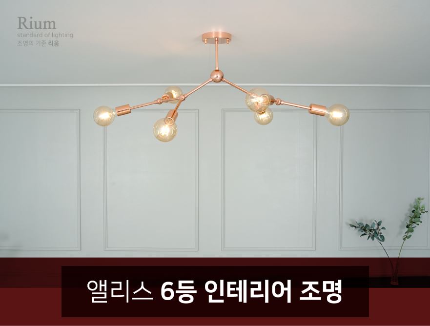 리움조명 이미지