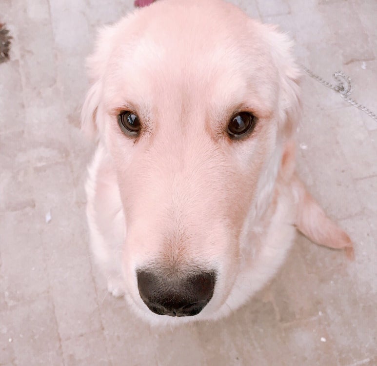 국민화원 이미지