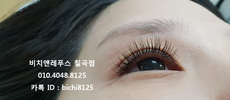 비치앤레푸스 이미지
