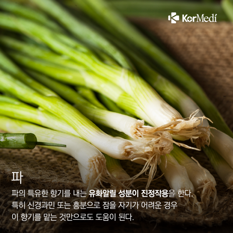 위고토이 이미지