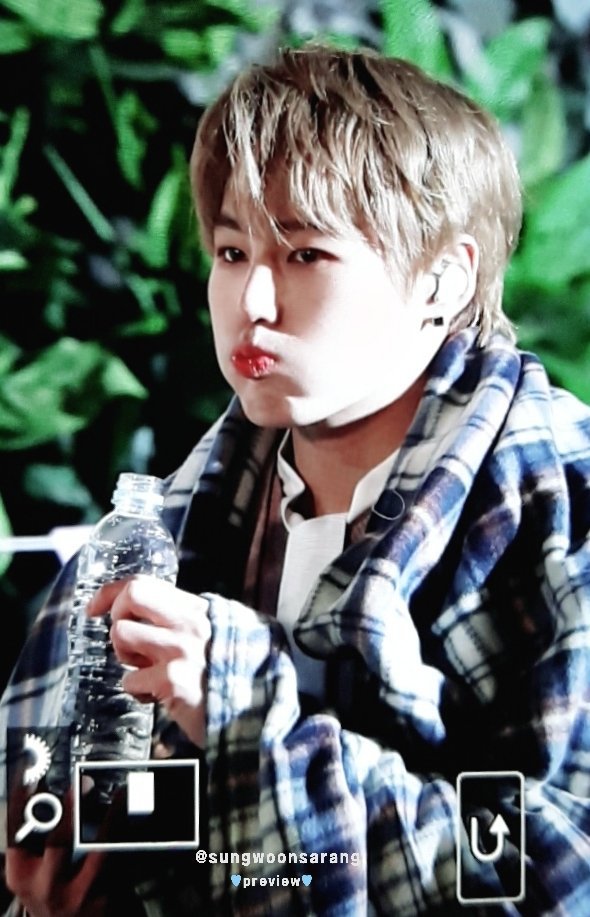 뮤직라이브 이미지