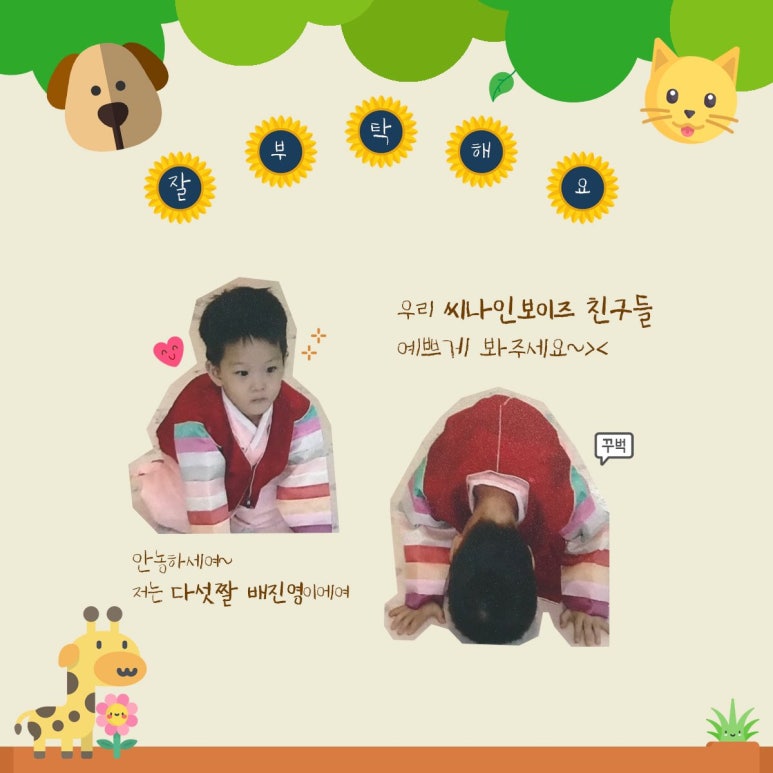 씨나인 이미지