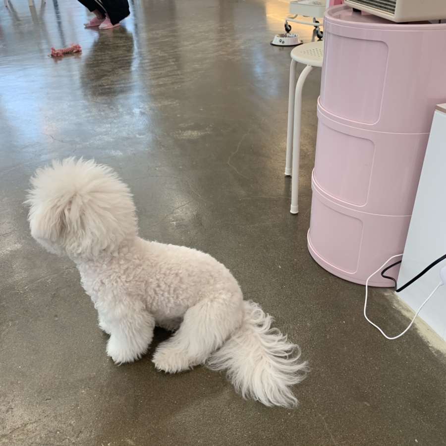 카페드숑 이미지