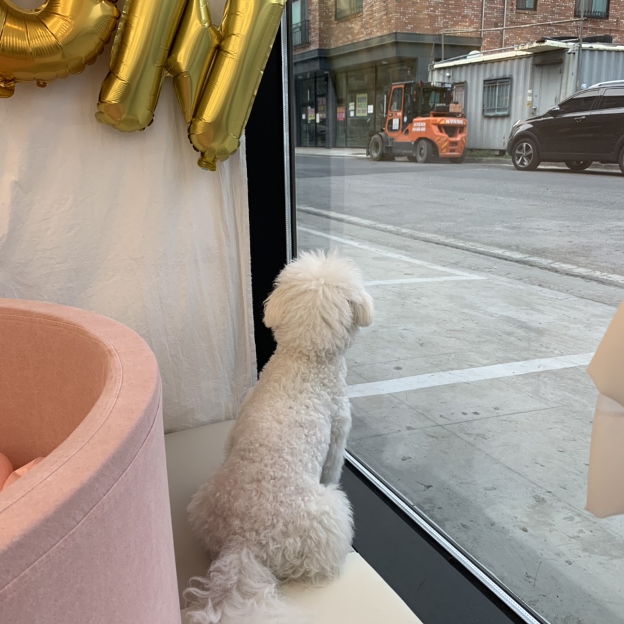카페드숑 이미지