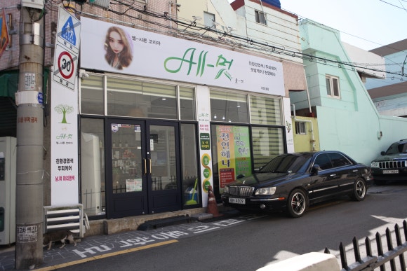 엘샤론염색 이미지