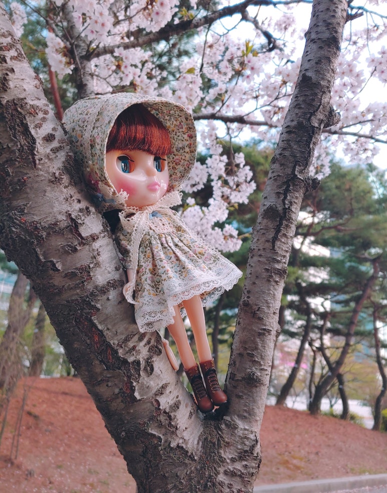 쉐리맘 이미지