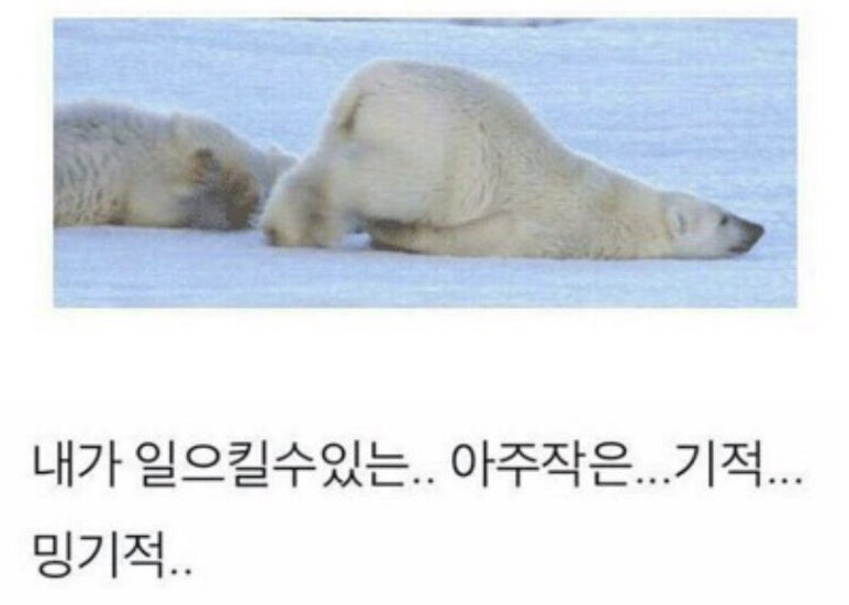 밍기적 이미지