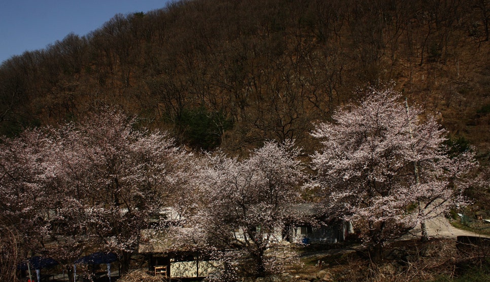 청평활명요양병원 이미지