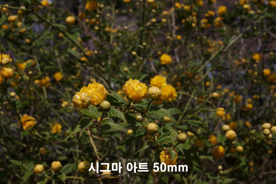 매크로스튜디오 이미지
