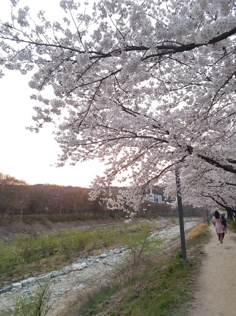 소넛 이미지