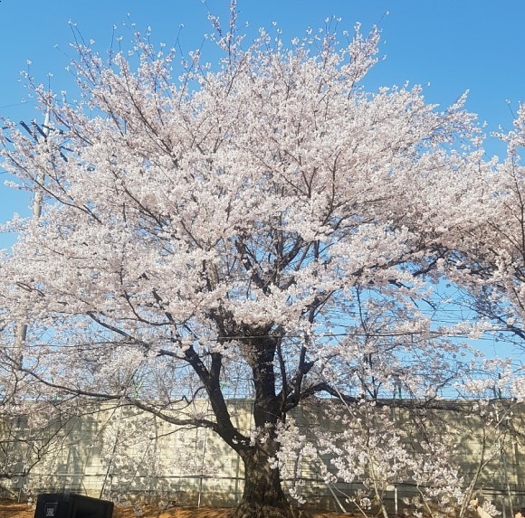 SK경인에너지 이미지