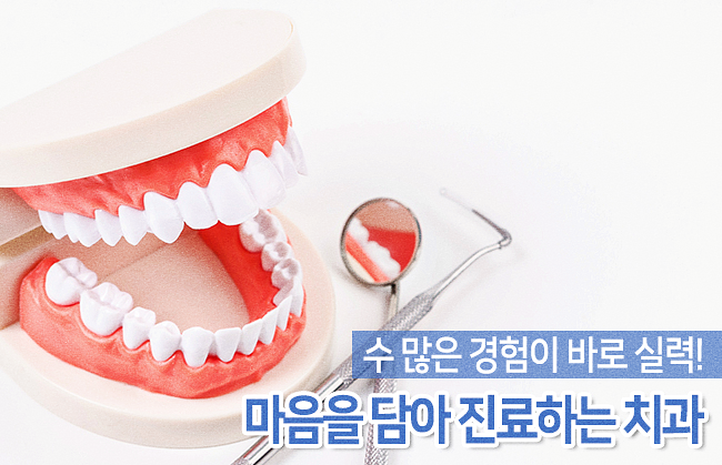 성모본치과 이미지