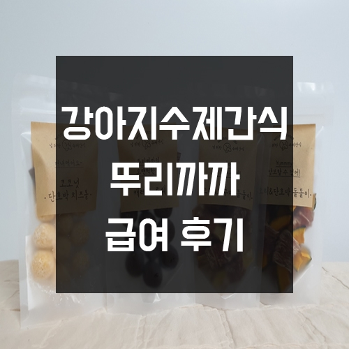 아이뚜리 이미지