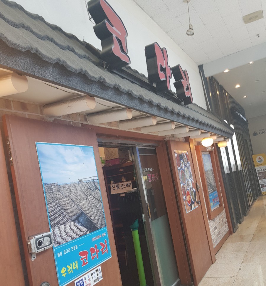 우리네코다리2 이미지