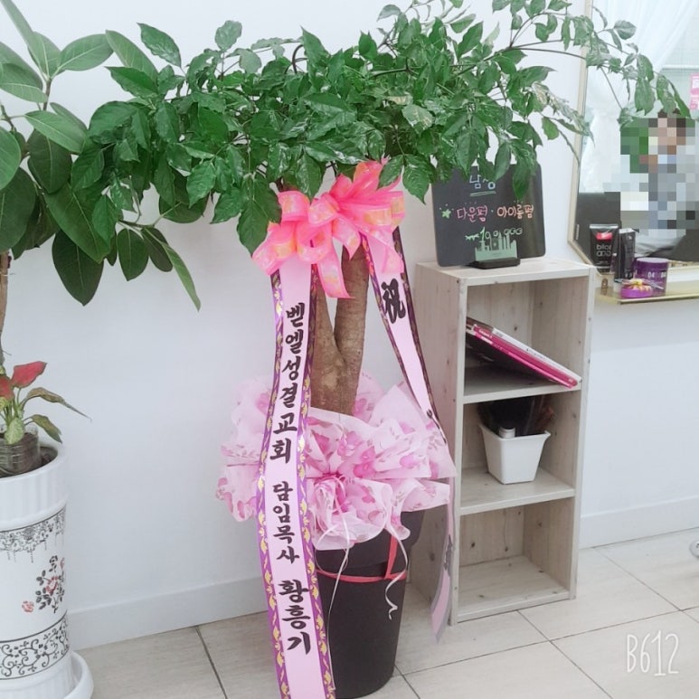예쁘다헤어샵 이미지