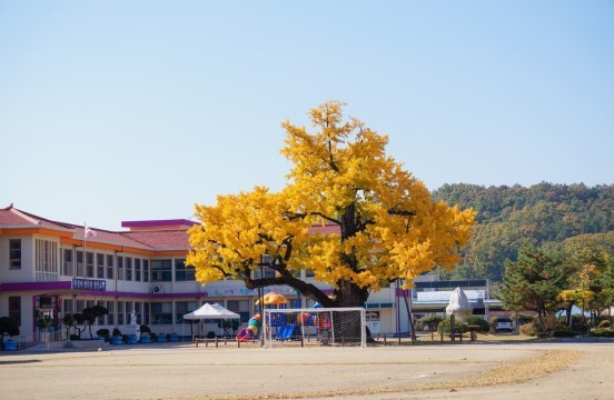 카페디 이미지