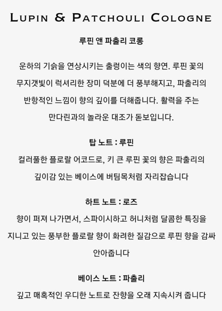 위즈앤 이미지