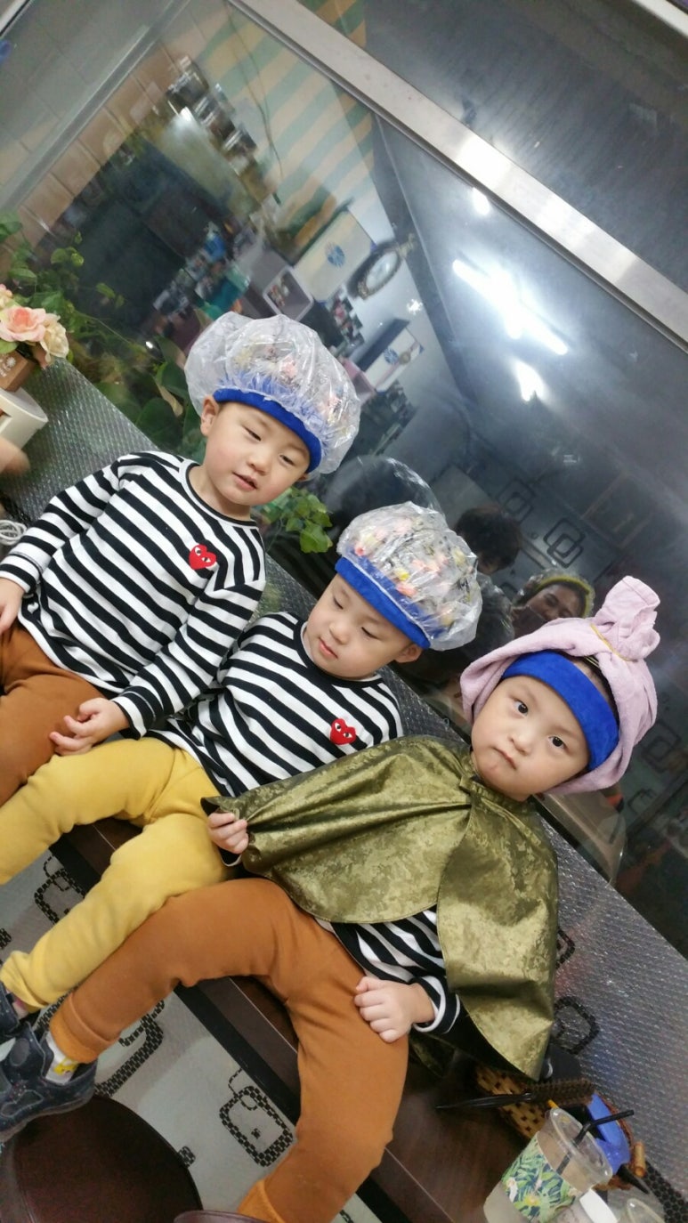 소나무헤어아트 이미지