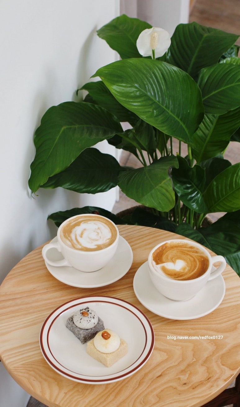CAFE GGOM(카페꼼) 이미지