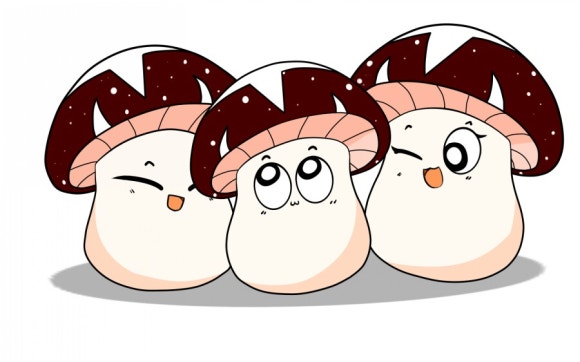 원진비닐루 이미지