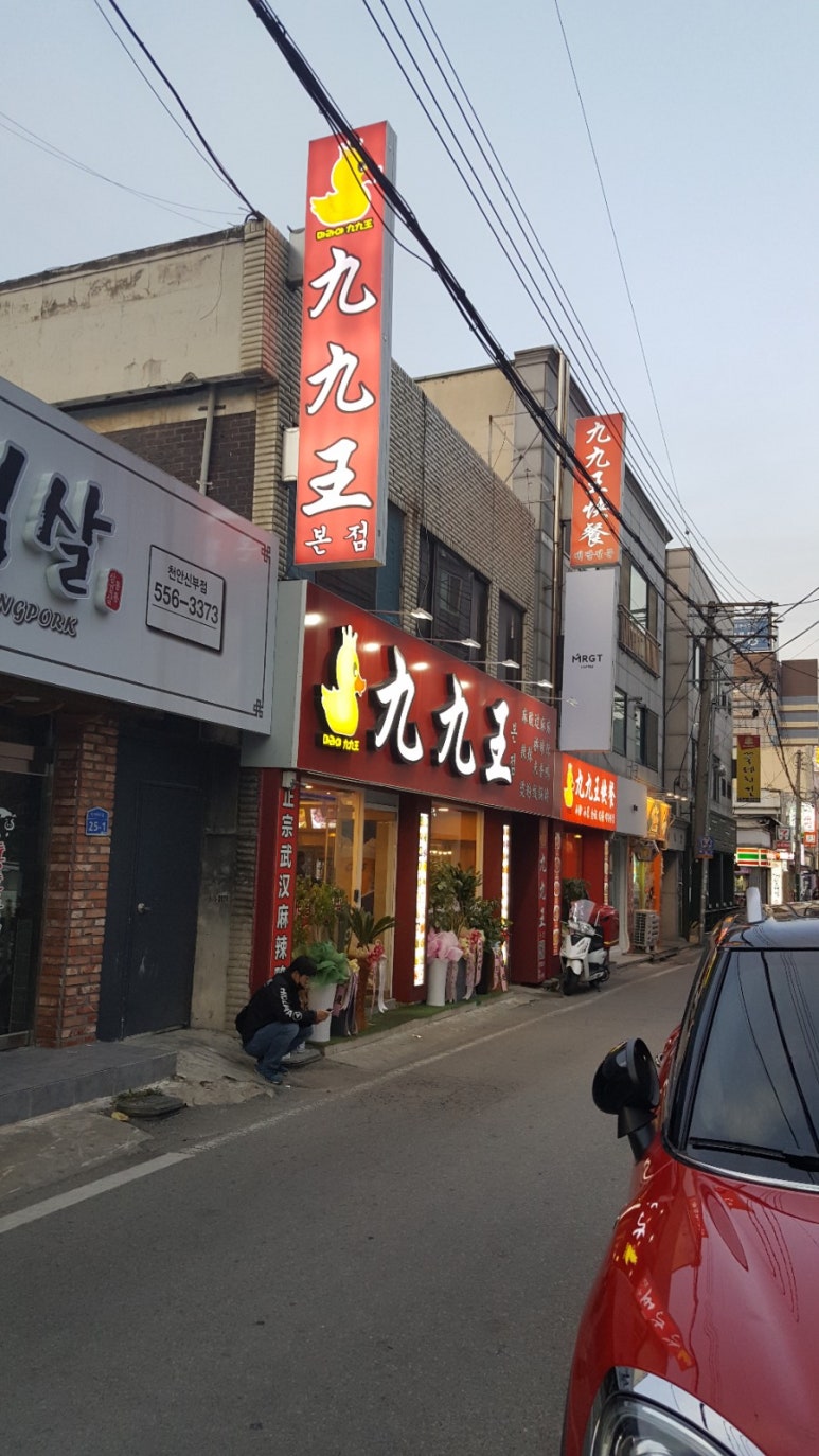 구구왕 이미지
