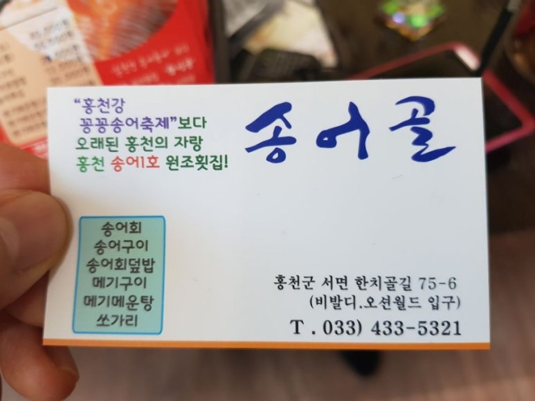 비발디송어골 이미지