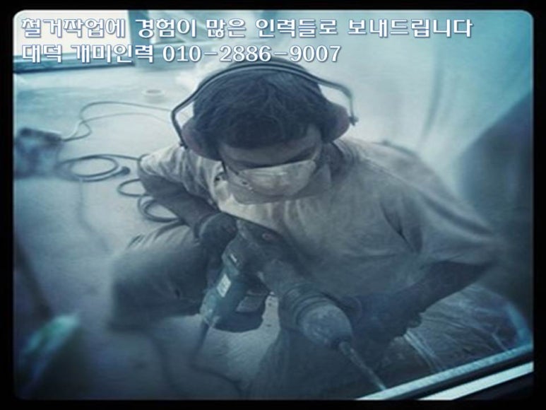 제일인력 이미지