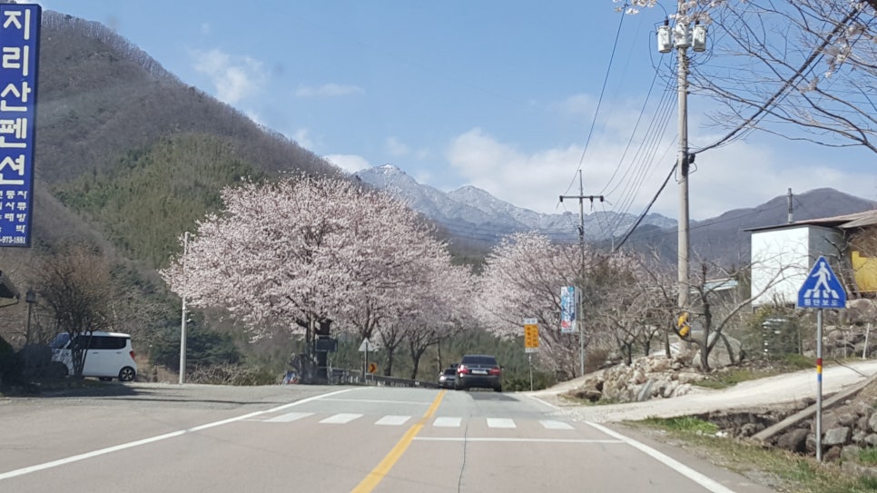 성불화원 이미지